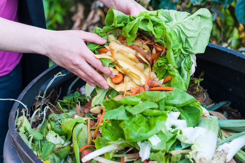 Harnessing the Potential of Waste in Renewable Energy