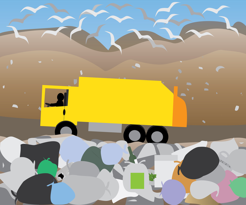 rubbish removal rubbish disposal